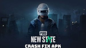 Read more about the article PUBG New State Crash Fix Apk