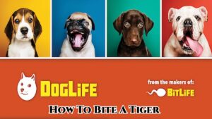 Read more about the article DogLife: How To Bite A Tiger