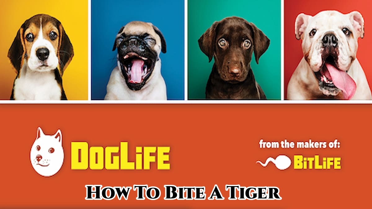 You are currently viewing DogLife: How To Bite A Tiger