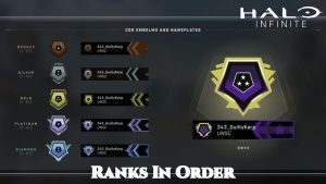 Read more about the article Halo Infinite Ranks In Order