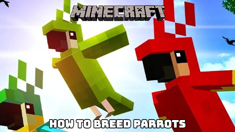 You are currently viewing How To Breed Parrots In Minecraft