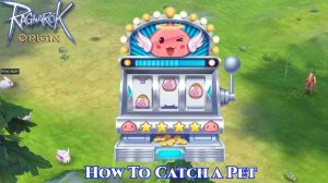 Read more about the article Ragnarok Origin: How To Catch a Pet