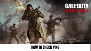 Read more about the article Call Of Duty: Vanguard How To Check Ping