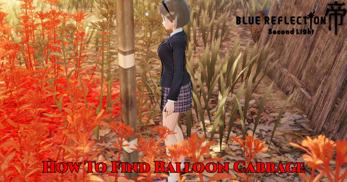 You are currently viewing How To Find Balloon Cabbage In Blue Reflection: Second Light