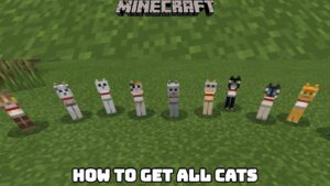 Read more about the article How To Get All Cats  In Minecraft