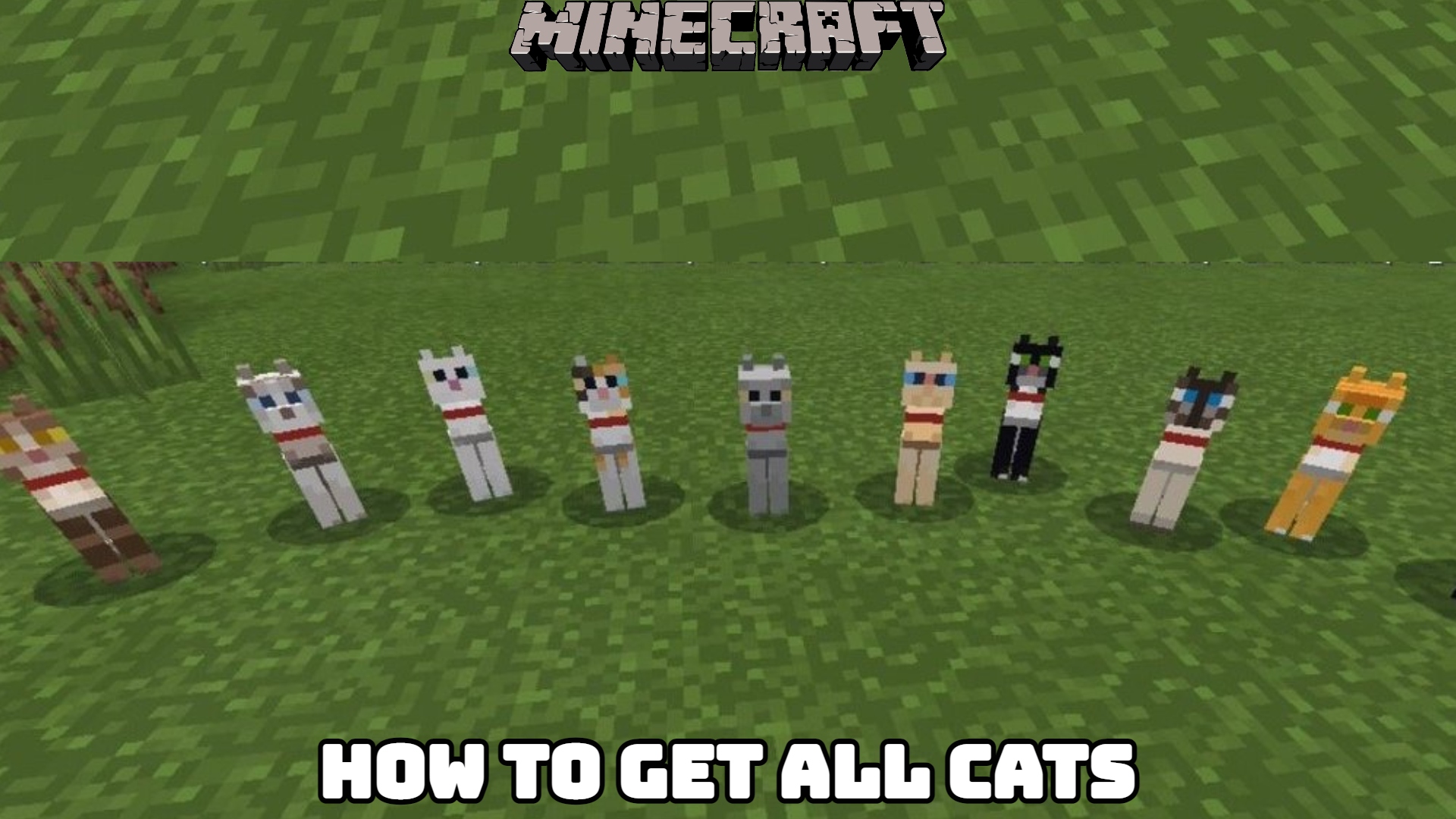 How To Get All Cats In Minecraft