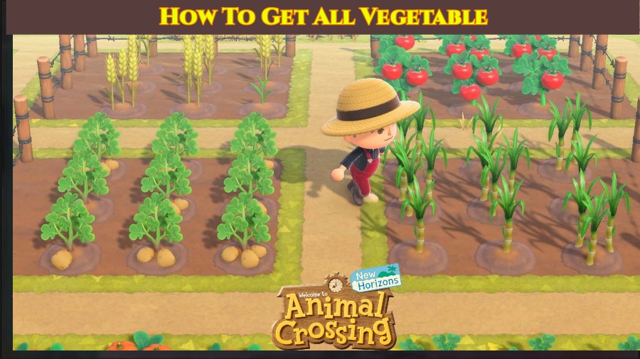 You are currently viewing How To Get All Vegetable In Animal Crossing: New Horizons
