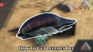 Read more about the article How To Get Leeches Off In Ark Survival Evolved