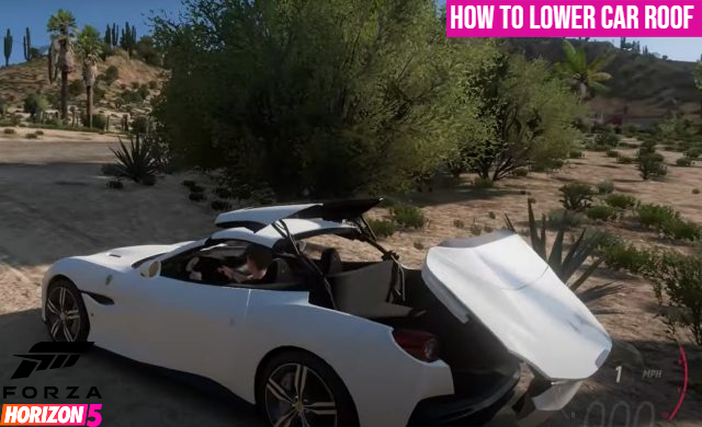 Read more about the article How To Lower Car Roof In Forza Horizon 5