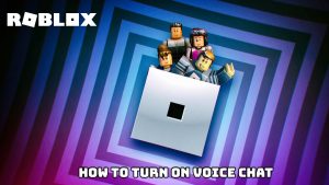 Read more about the article Roblox :How To Turn On Voice Chat