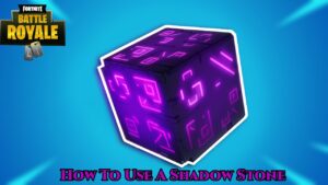 Read more about the article How To Use A Shadow Stone In Fortnite Battle Royale