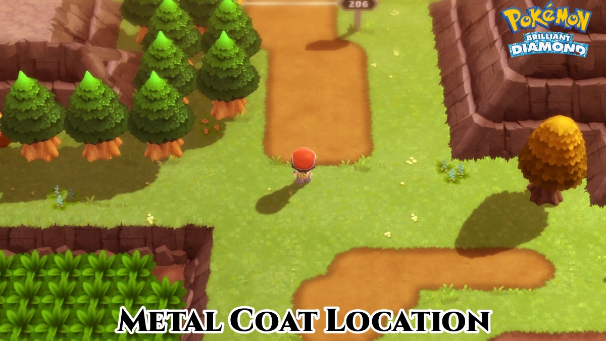Read more about the article Metal Coat Location In Pokemon Brilliant Diamond And Shining Pearl