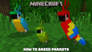 Read more about the article Minecraft: How To Breed Parrots