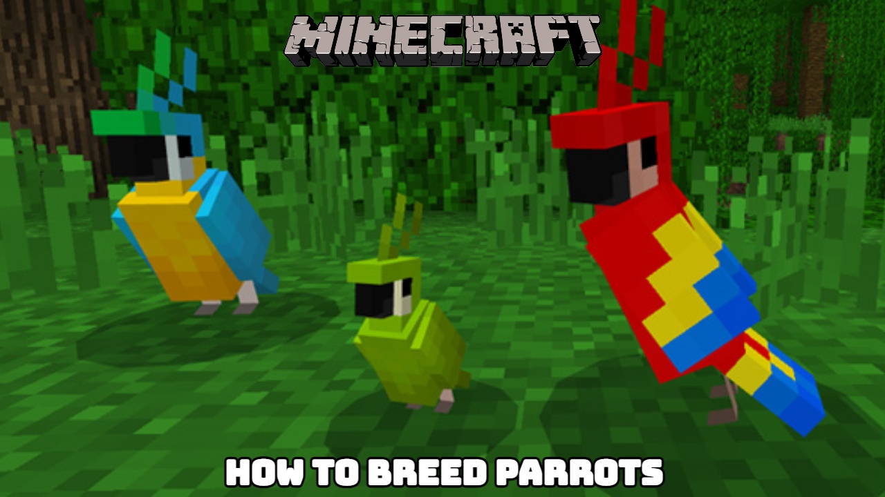 You are currently viewing Minecraft: How To Breed Parrots