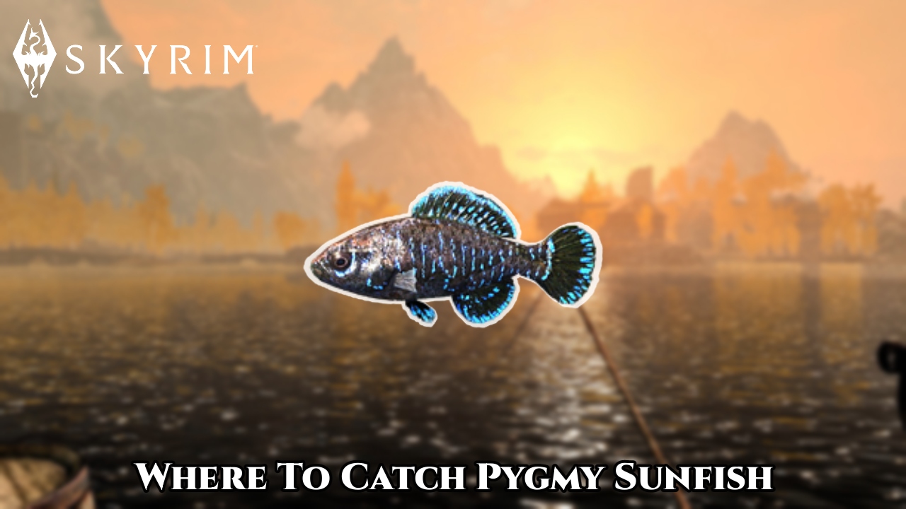 You are currently viewing Where To Catch Pygmy Sunfish In Skyrim: Pygmy Sunfish Location
