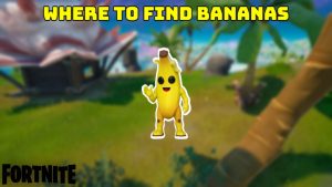 Read more about the article Where To Find Bananas In Fortnite Season 8