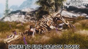 Read more about the article Where To Find Dragon Bones In Skyrim: Dragon Bones Location