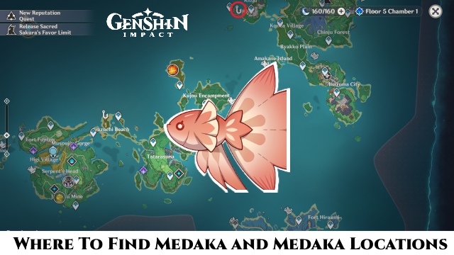 Read more about the article Where To Find Medaka In Genshin Impact:  Medaka Locations