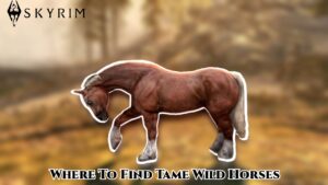 Read more about the article Where To Find Tame Wild Horses In Skyrim
