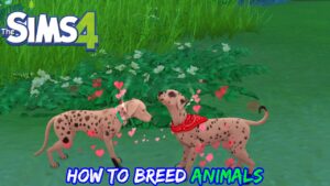 Read more about the article The Sims 4: How To Breed Animals