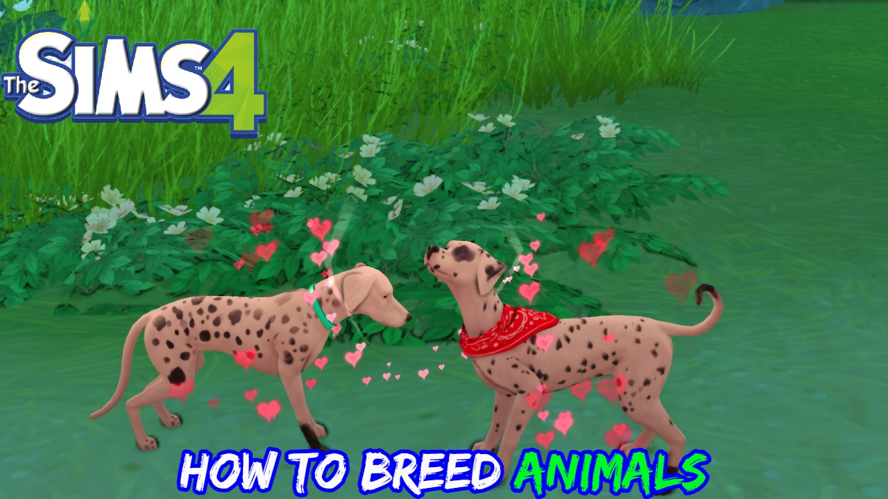 Read more about the article The Sims 4: How To Breed Animals