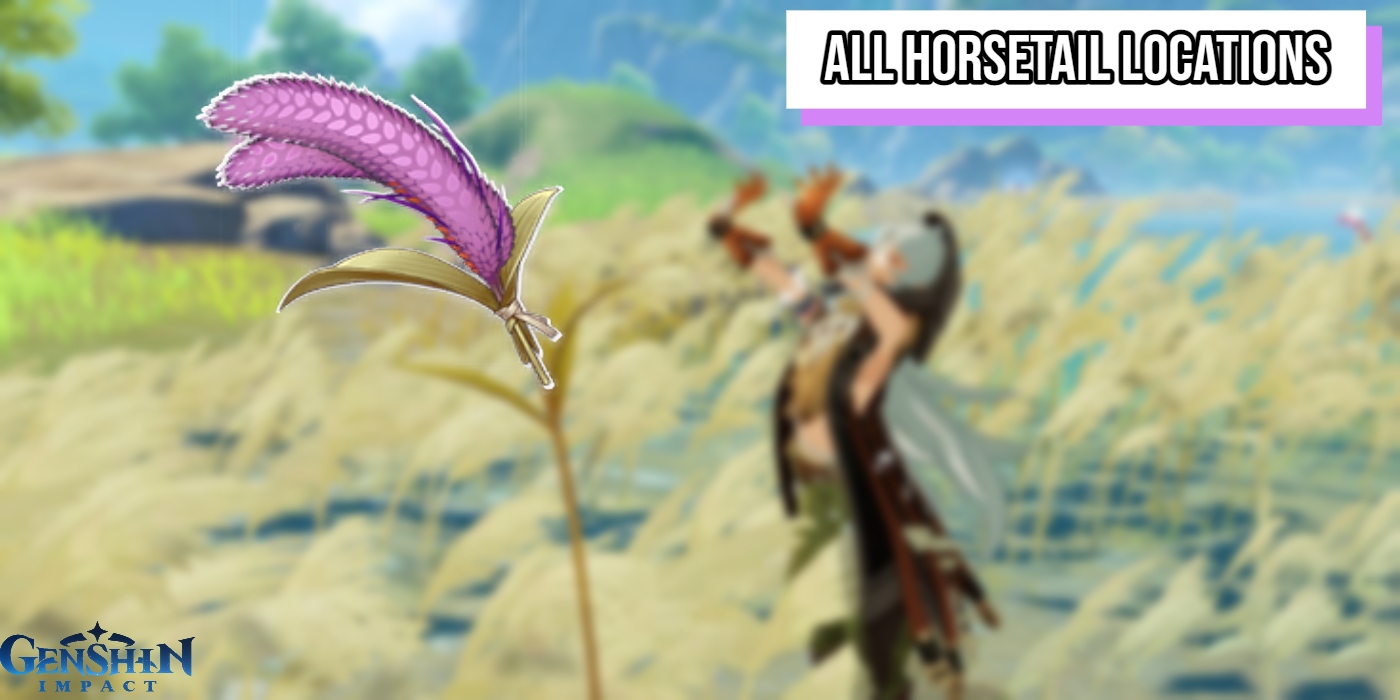 You are currently viewing All Horsetail Locations In Genshin Impact