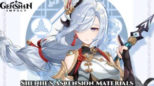 Read more about the article Genshin Impact Shenhe’s Ascension Materials
