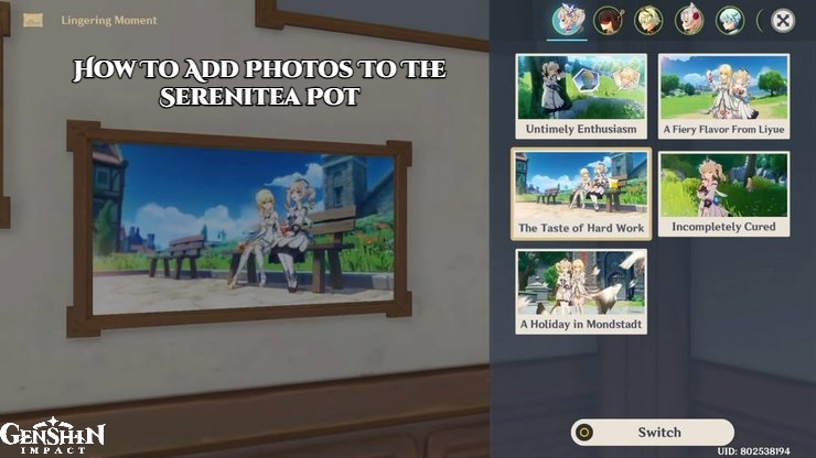 You are currently viewing How To Add Photos To The Serenitea Pot In Genshin Impact