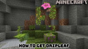 Read more about the article How To Get Dripleaf Minecraft 1.18