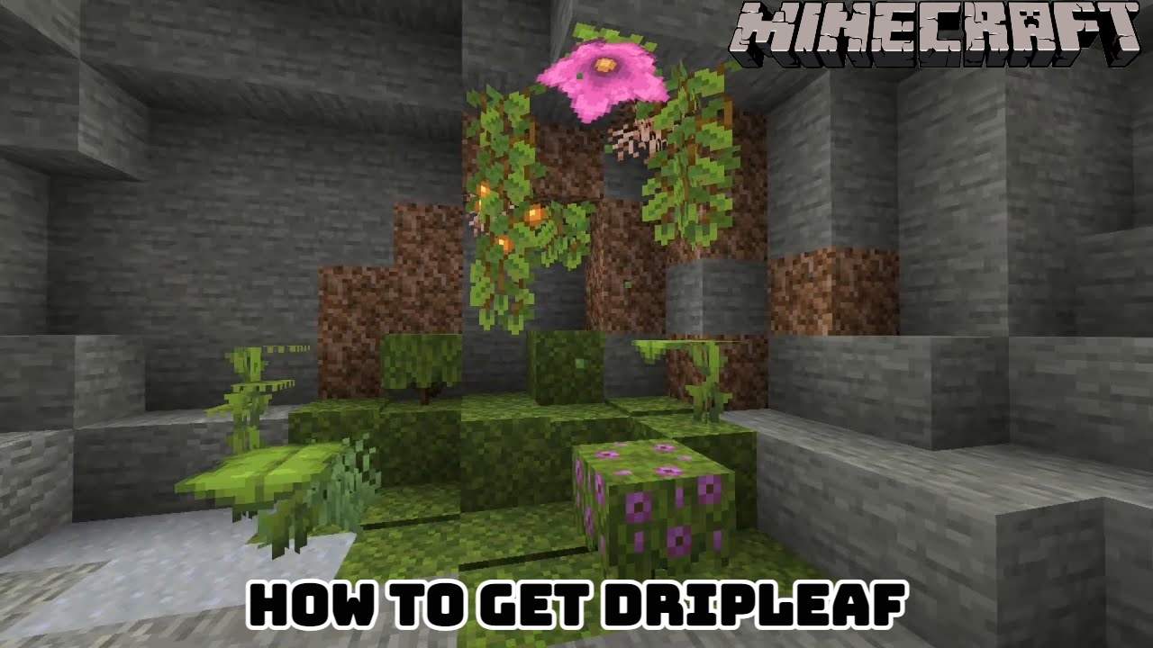 You are currently viewing How To Get Dripleaf Minecraft 1.18