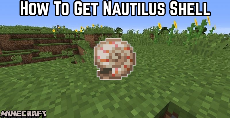 You are currently viewing How To Get Nautilus Shell In Minecraft