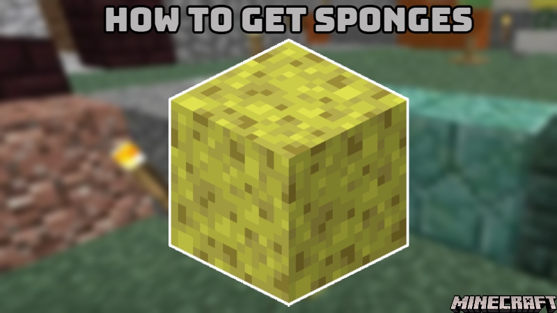 You are currently viewing How To Get Sponges In Minecraft 1.18