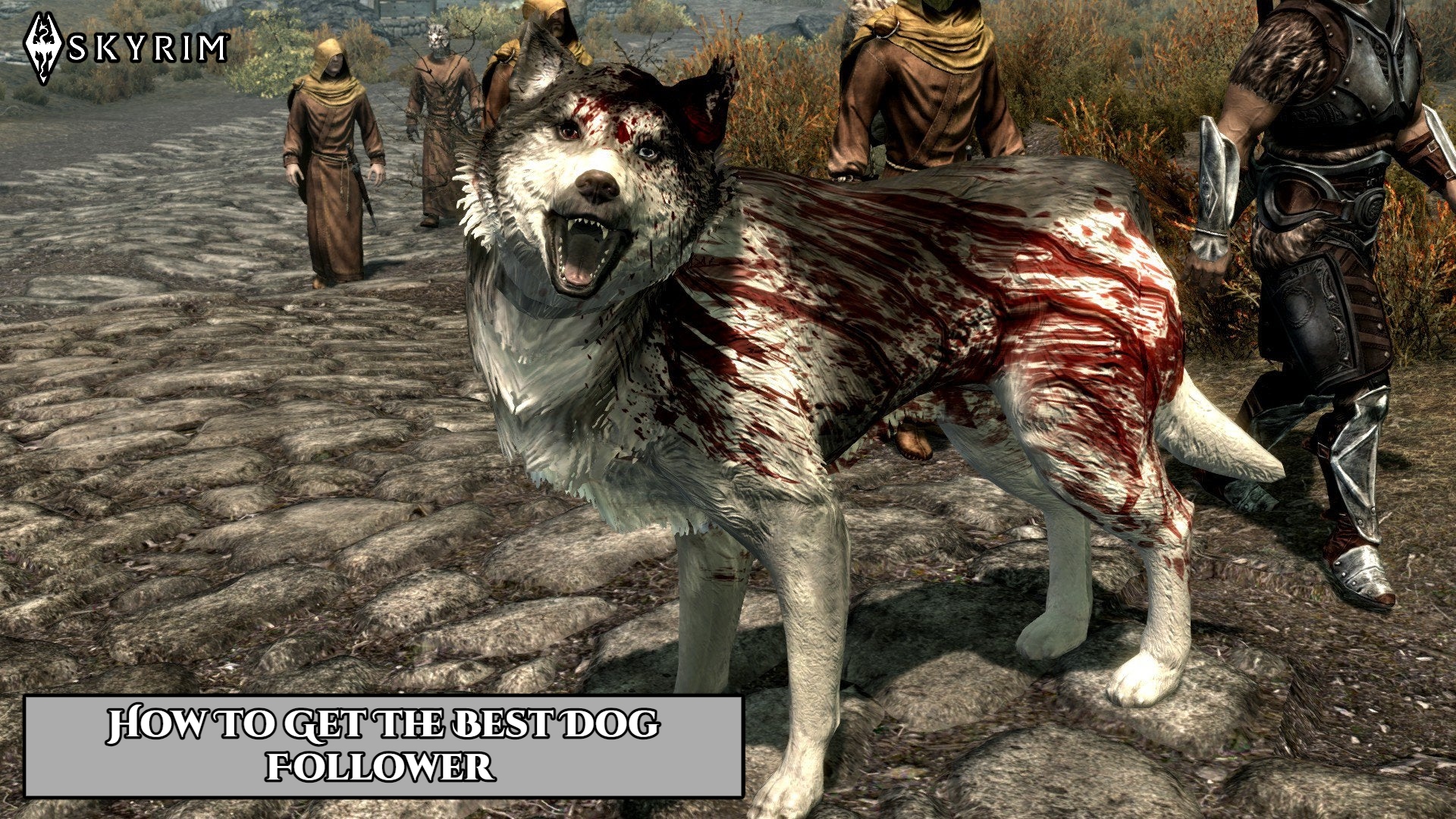 You are currently viewing How To Get The Best Dog Follower In Skyrim