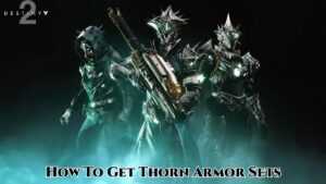 Read more about the article How To Get Thorn Armor Sets In Destiny 2