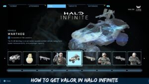 Read more about the article How To Get Valor In Halo Infinite