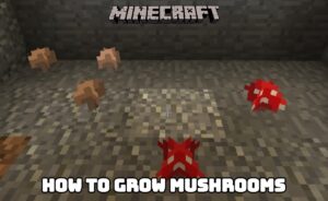 Read more about the article How To Grow Mushrooms In Minecraft