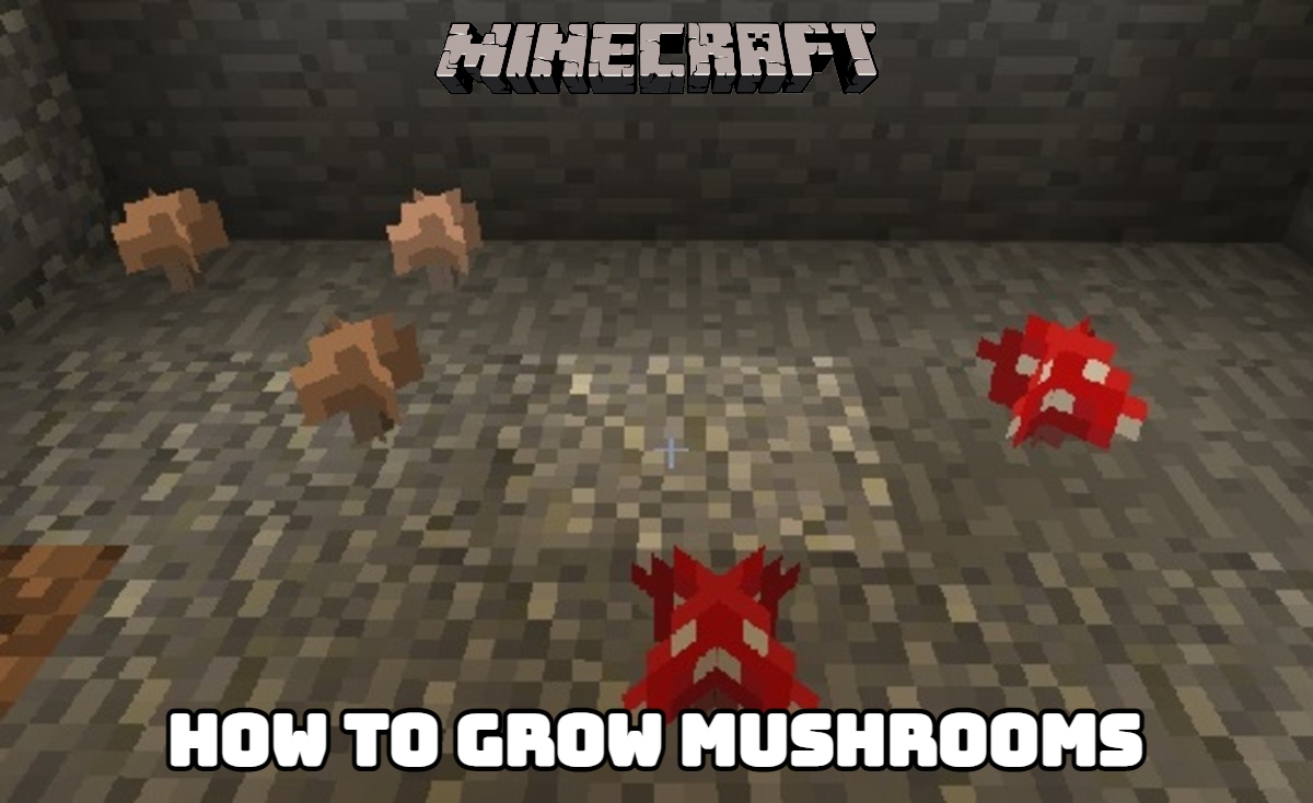 You are currently viewing How To Grow Mushrooms In Minecraft