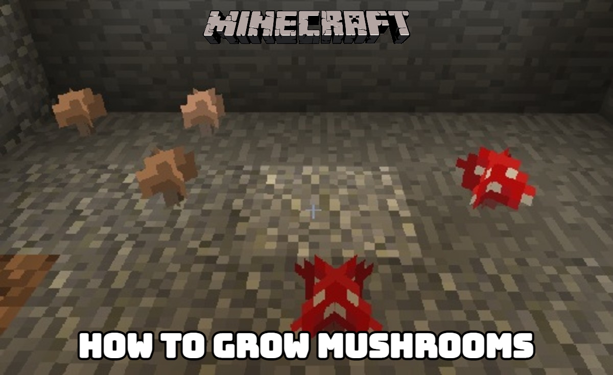 Read more about the article How To Grow Mushrooms In Minecraft