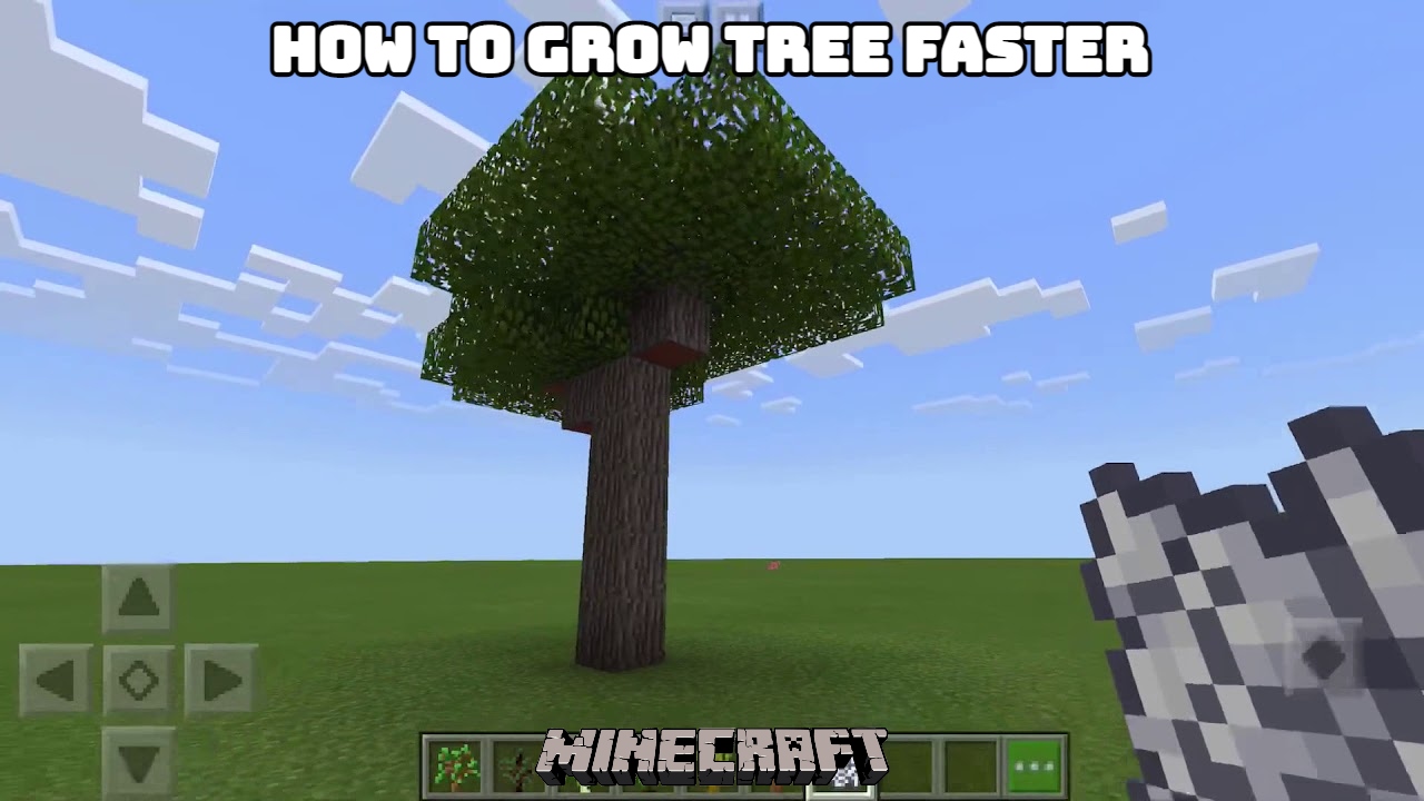 Read more about the article How To Grow Tree Faster In Minecraft