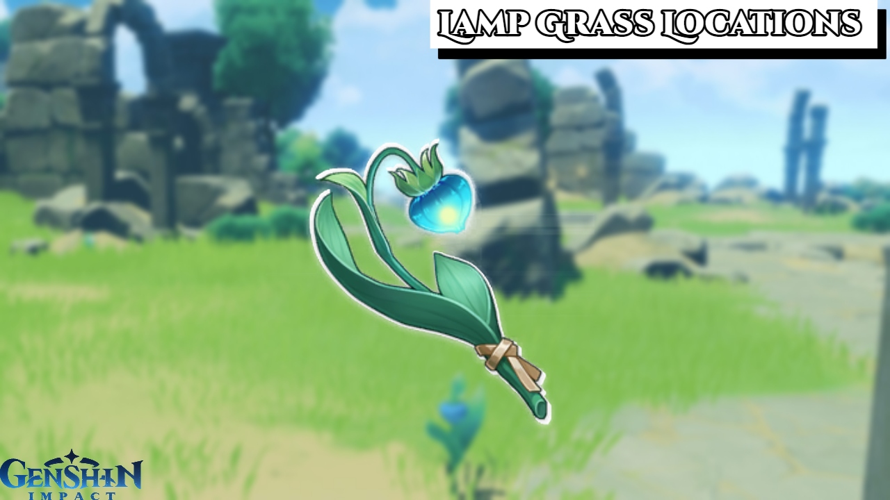 Lamp Grass Locations