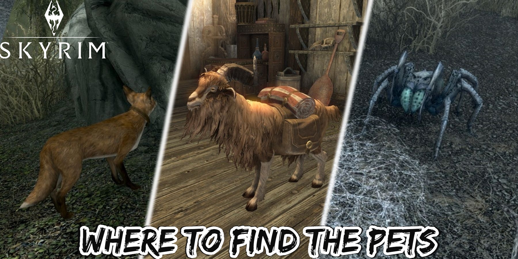 You are currently viewing Where To Find The Pets Of Skyrim