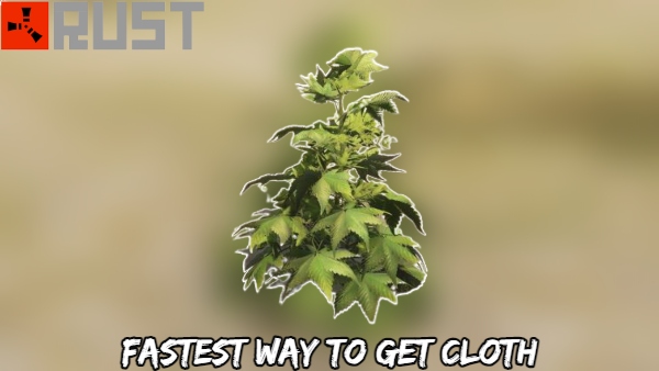 You are currently viewing Fastest Way To Get Cloth In Rust