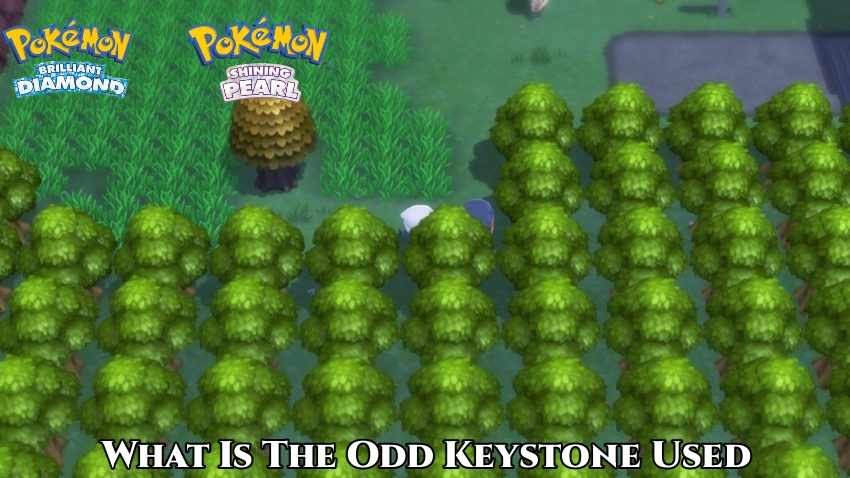 You are currently viewing What Is The Odd Keystone Used In Pokemon Brilliant Diamond & Shining Pearl