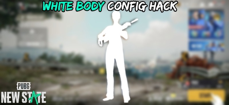 You are currently viewing PUBG New State White Body Config Hack  File