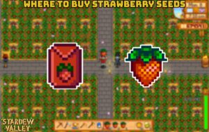 Read more about the article Where To Buy Strawberry Seeds In Stardew Valley