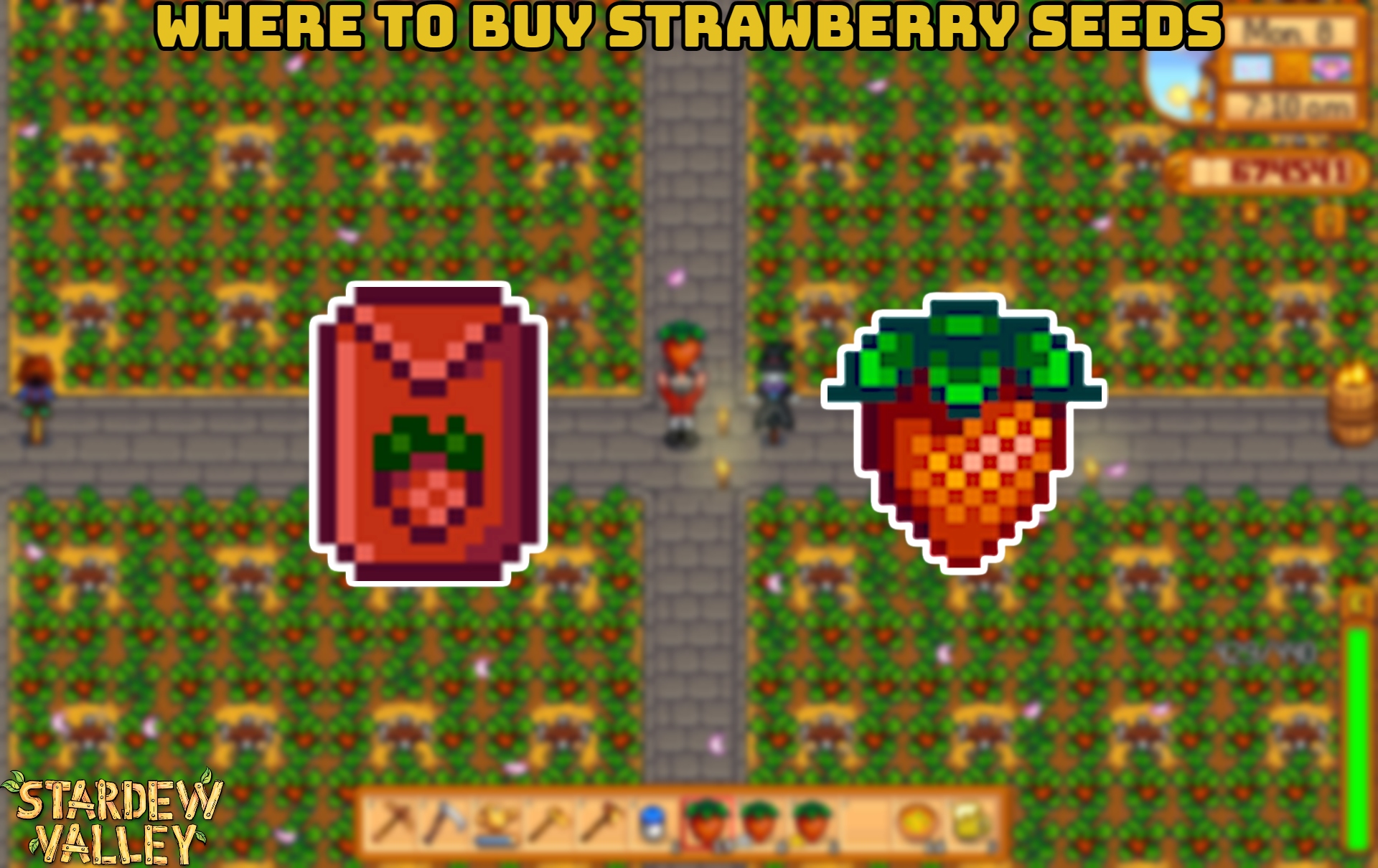 You are currently viewing Where To Buy Strawberry Seeds In Stardew Valley