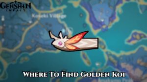Read more about the article Where To Find Golden Koi In Genshin Impact