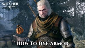 Read more about the article Witcher 3: How To Dye Armor