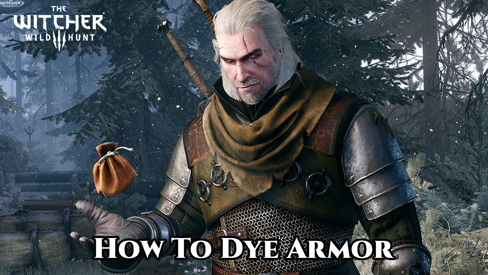 You are currently viewing Witcher 3: How To Dye Armor