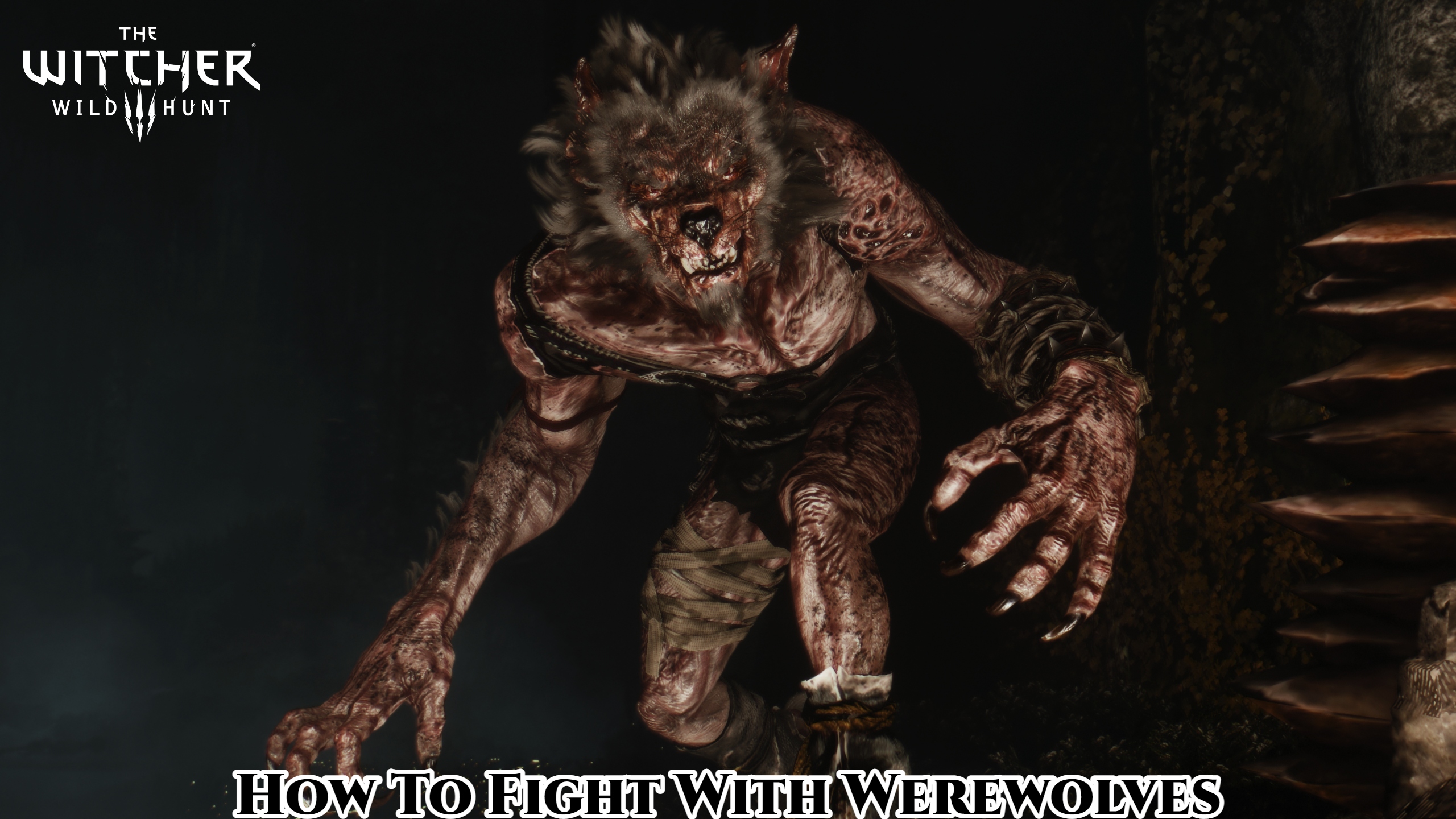 You are currently viewing How To Fight With Werewolves In The Witcher 3
